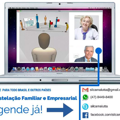 Constelação Familiar, Empresarial e Organizacional ON-LINE para todo o Brasil e outros países.
